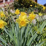 Haus Riedl בית הארחה סיבודן