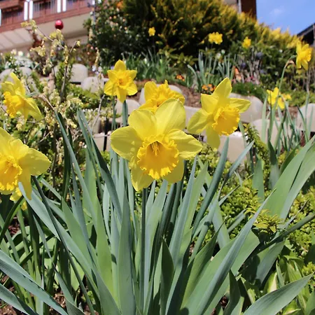 Haus Riedl Gasthof Seeboden am Millstätter See