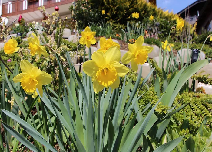 Haus Riedl בית הארחה סיבודן